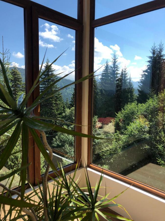 Genco Hotel Mountain View Predeal Exterior foto